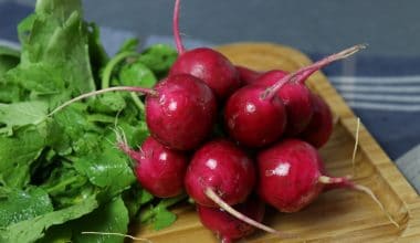 Radish