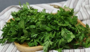 Parsley