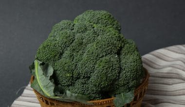 Broccoli