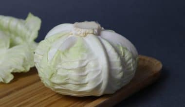 Cabbage