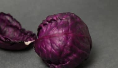 Red Cabbage