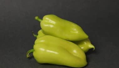 Pepper