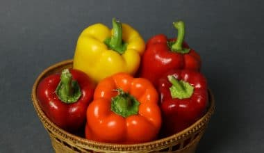 Bell Pepper