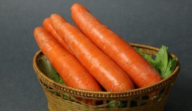 Carrot
