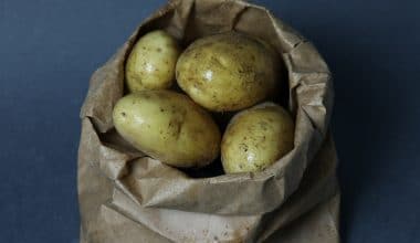 Potato