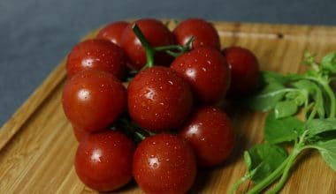 Լոլիկ չերրի