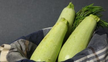 Zucchini Local