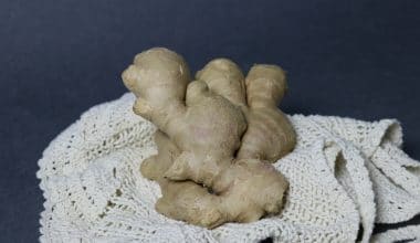 Ginger