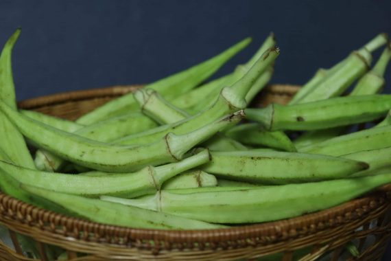 Okra - immagine 2