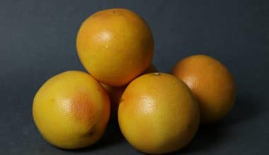 Grapefruit