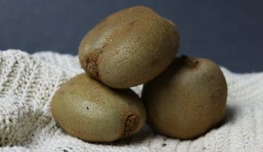 Kiwi