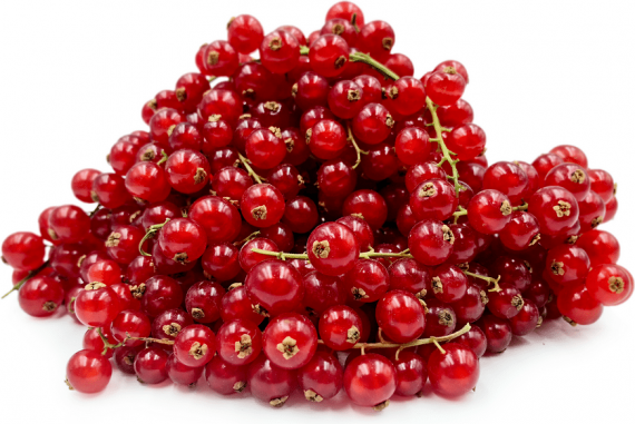 Red Current