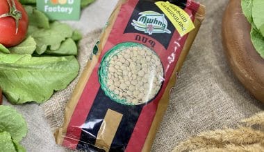 Lentil