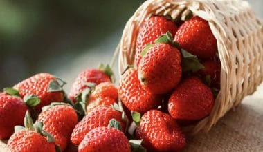 Strawberry
