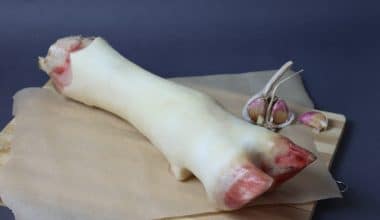 Beef Leg for Khash