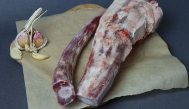 Beef Tail