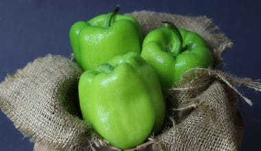 Green Pepper