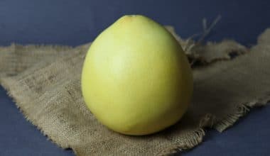 Pomelo Red