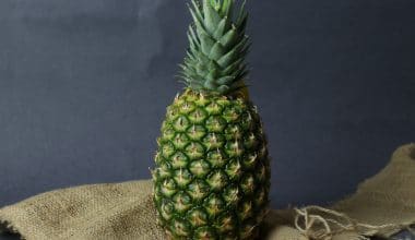 Pineapple