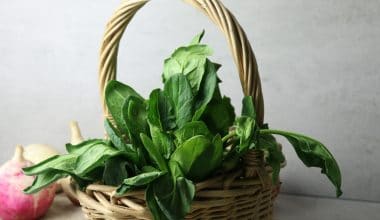 Spinach