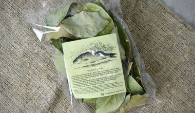 Bay Leaves