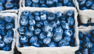 Blueberries