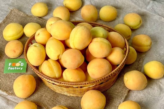 Apricot