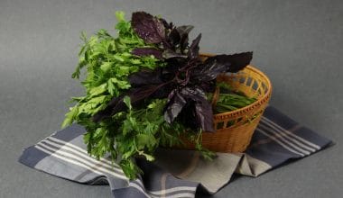 Mixed greens