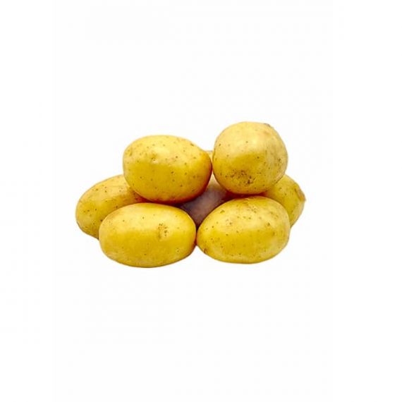 Potato new