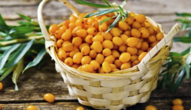 Սառեցված Չիչխան