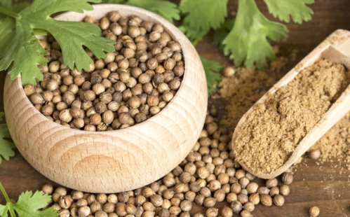 Համեմի սերմ