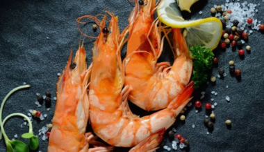 Ծովախեցգետին հյուսիսային