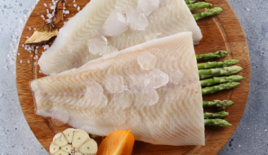 Պալտուս ֆիլե - immagine 2